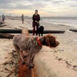 Richard - Going to the Beach With the Family Dogs